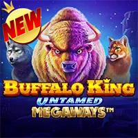 Buffalo King Untamed Megaways